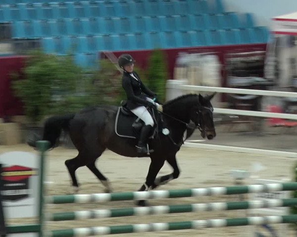 Reitturnier Neustadt/Dosse 2019