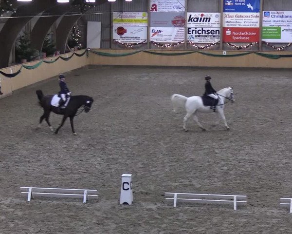 Reitturnier Leck 2019