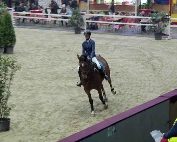 Reitturnier Neustadt/Dosse 2019