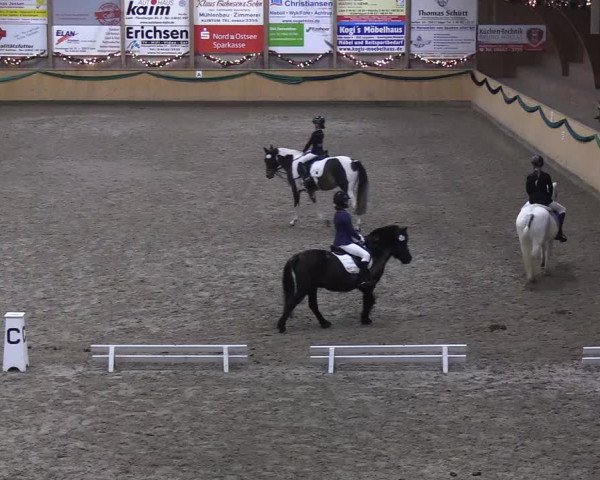 Reitturnier Leck 2019