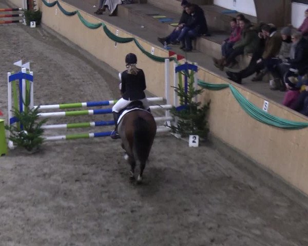 Reitturnier Leck 2019