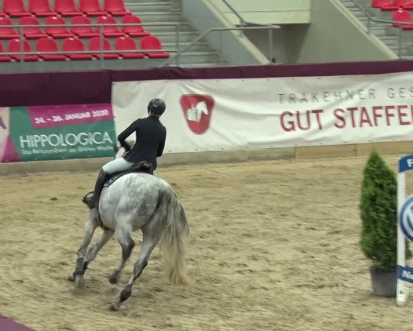Reitturnier Neustadt/Dosse 2019