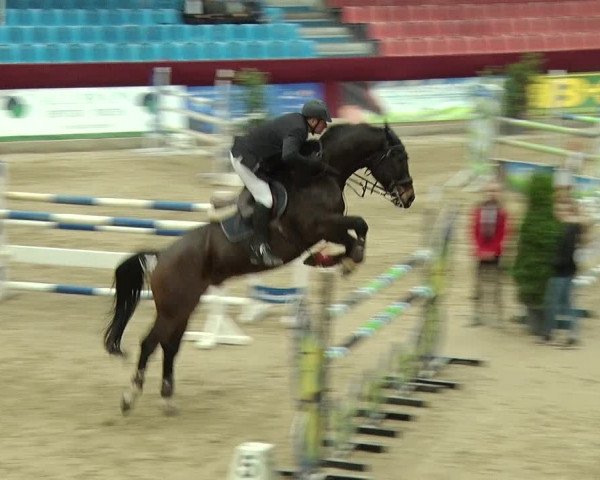Reitturnier Neustadt/Dosse 2019