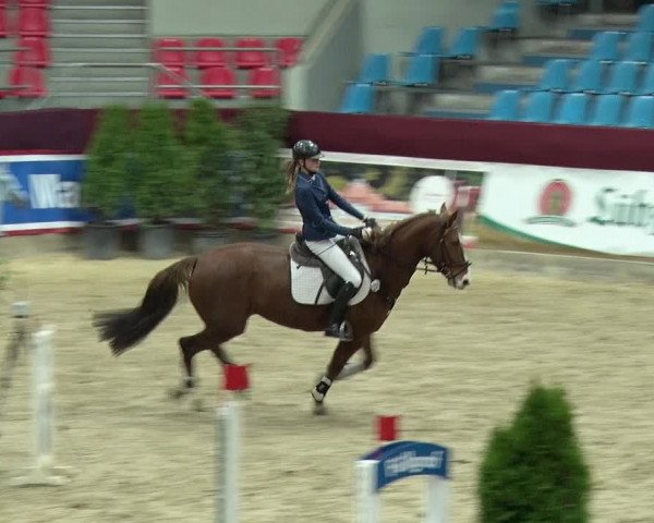 Reitturnier Neustadt/Dosse 2019