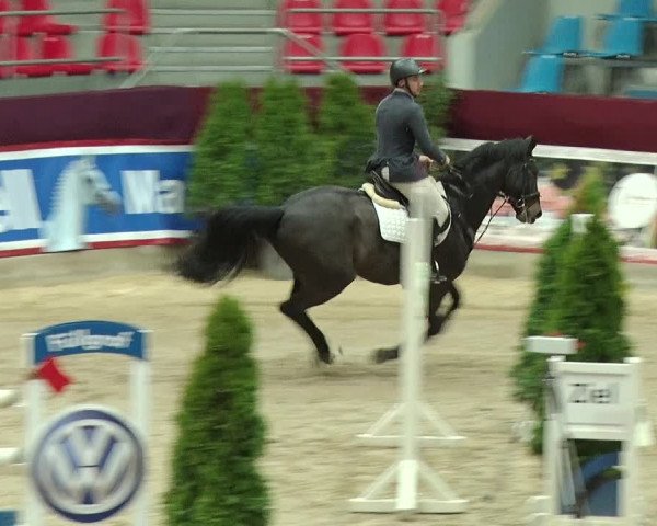 Reitturnier Neustadt/Dosse 2019