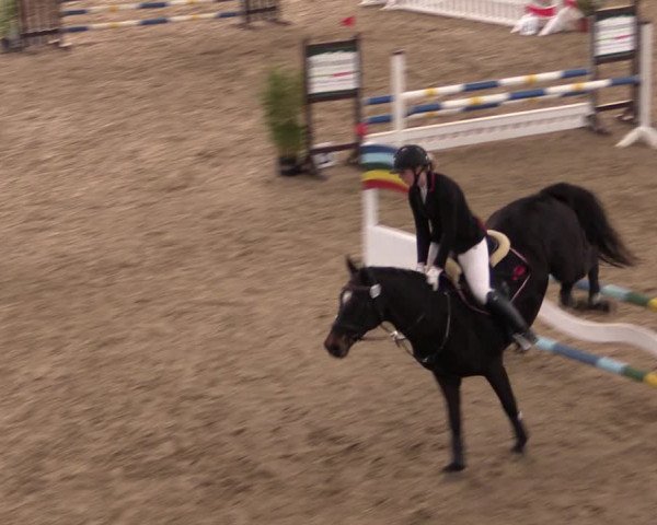 Reitturnier Oelde 2019