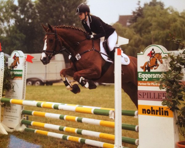 jumper Sissy 404 (Hanoverian, 2003, from Salute xx) jumper Sissy 404 (Hanoverian, 2003, from Salute xx)