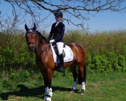 dressage horse Timms Lucky Linn (German Riding Pony, 2008, from Mandela N)