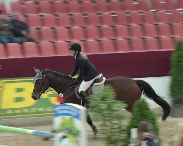 Reitturnier Neustadt/Dosse 2019