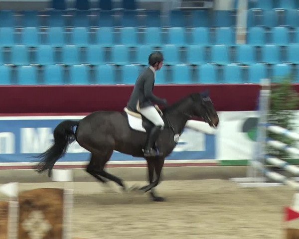 Reitturnier Neustadt/Dosse 2019