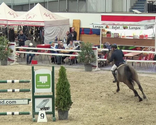 Reitturnier Neustadt/Dosse 2019