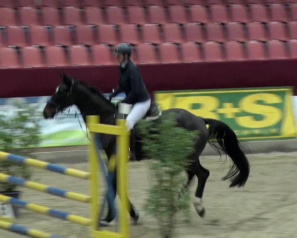 Reitturnier Neustadt/Dosse 2019