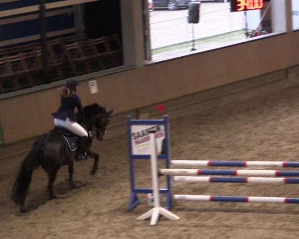 Reitturnier Oelde 2019