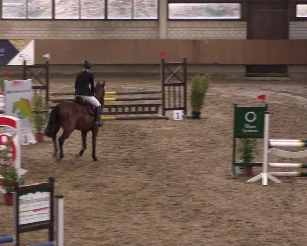 Reitturnier Oelde 2019