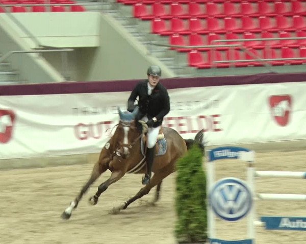Reitturnier Neustadt/Dosse 2019