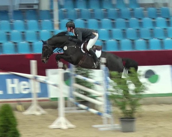 Reitturnier Neustadt/Dosse 2019