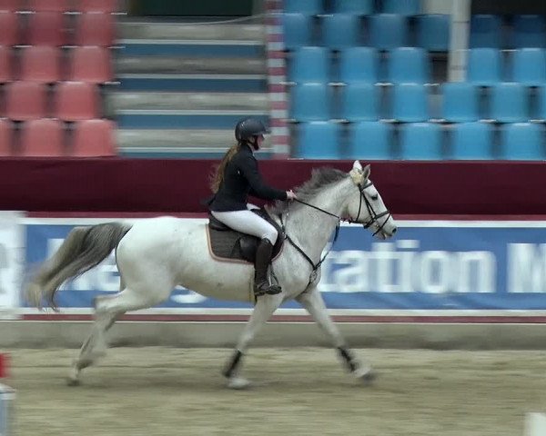 Reitturnier Neustadt/Dosse 2019