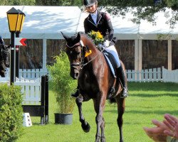 broodmare Candela Waluka (Trakehner, 2008, from Insterburg TSF)