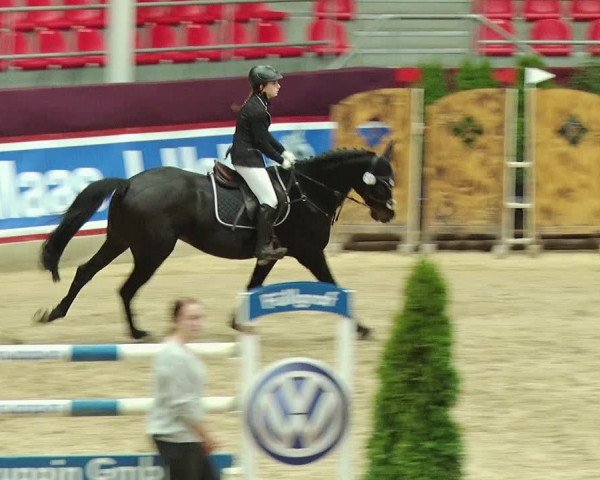 Reitturnier Neustadt/Dosse 2019