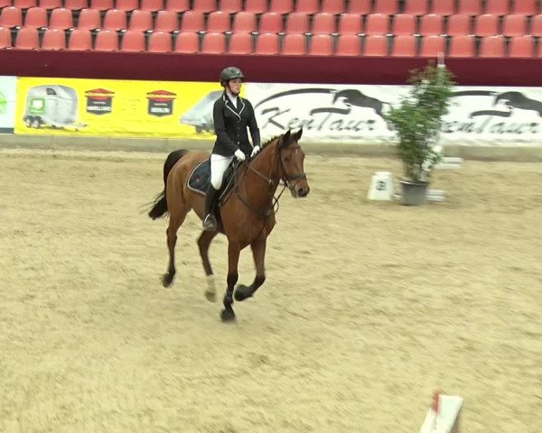 Reitturnier Neustadt/Dosse 2019