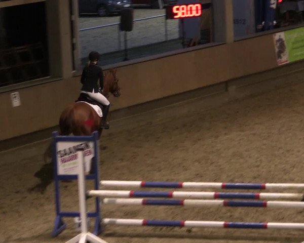Reitturnier Oelde 2019