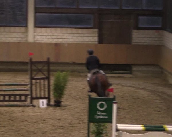 Reitturnier Oelde 2019