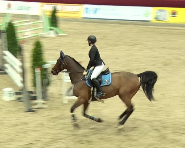 Reitturnier Neustadt/Dosse 2019