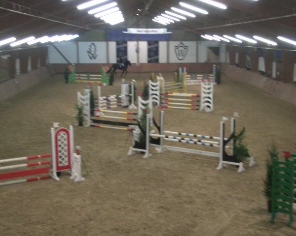 Reitturnier Bad Salzuflen 2019