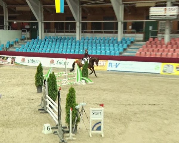 Reitturnier Neustadt/Dosse 2019