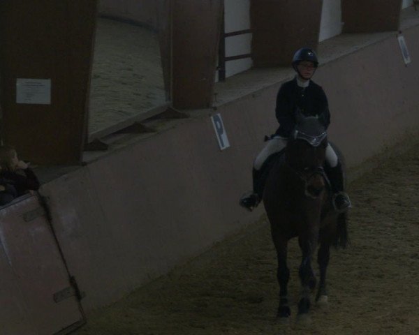 Reitturnier Bad Salzuflen 2019