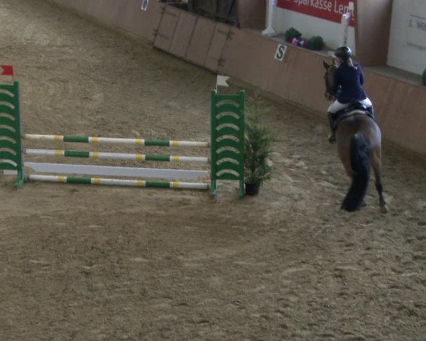 Reitturnier Bad Salzuflen 2019