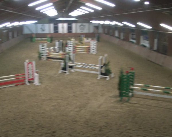 Reitturnier Bad Salzuflen 2019