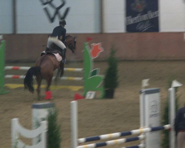Reitturnier Bad Salzuflen 2019