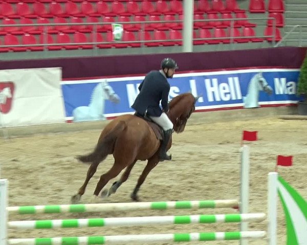 Reitturnier Neustadt/Dosse 2019