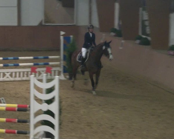 Reitturnier Bad Salzuflen 2019