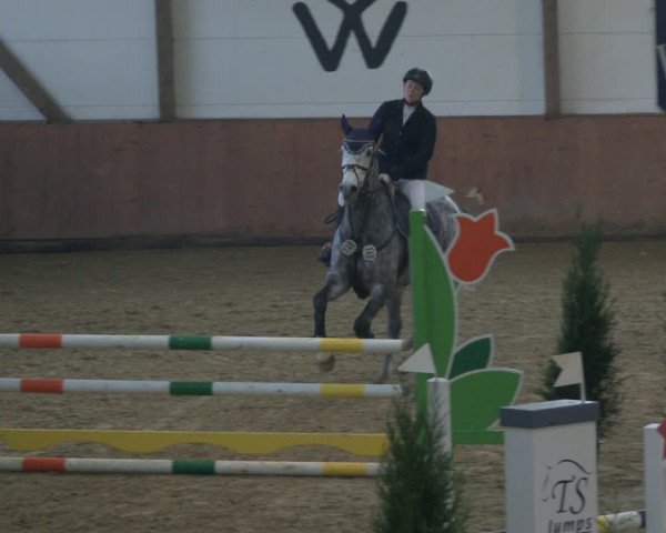 Reitturnier Bad Salzuflen 2019