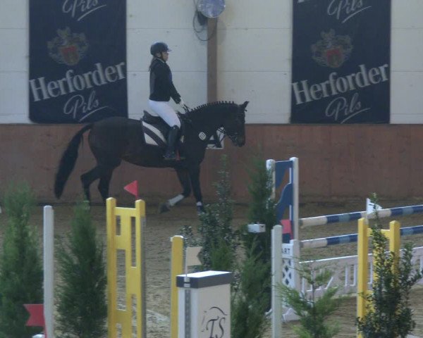 Reitturnier Bad Salzuflen 2019