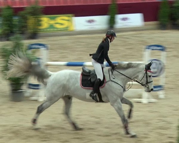Reitturnier Neustadt/Dosse 2019
