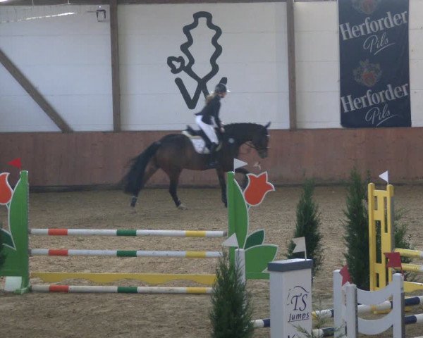 Reitturnier Bad Salzuflen 2019