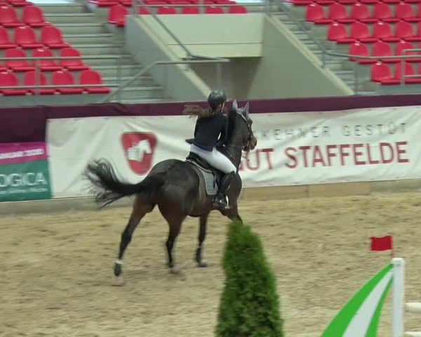 Reitturnier Neustadt/Dosse 2019