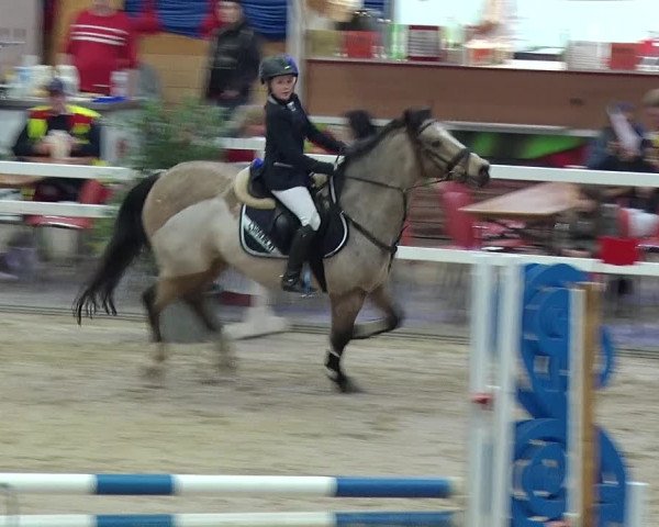 Reitturnier Neustadt/Dosse 2019