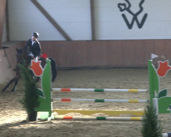 Reitturnier Bad Salzuflen 2019