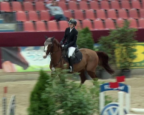 Reitturnier Neustadt/Dosse 2019