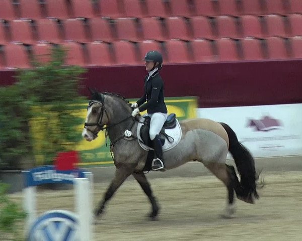 Reitturnier Neustadt/Dosse 2019