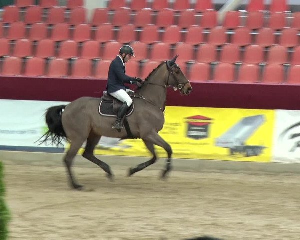 Reitturnier Neustadt/Dosse 2019