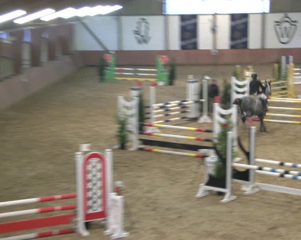 Reitturnier Bad Salzuflen 2019