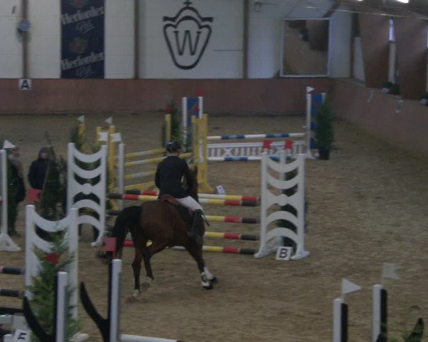 Reitturnier Bad Salzuflen 2019