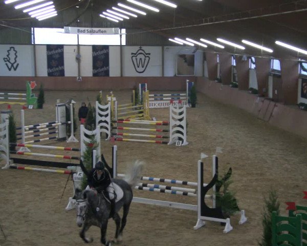 Reitturnier Bad Salzuflen 2019