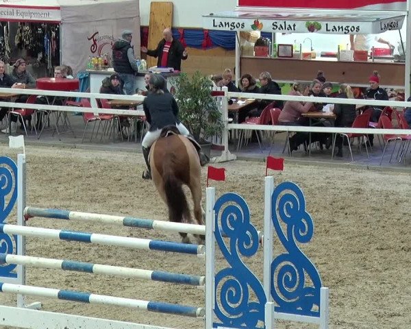 Reitturnier Neustadt/Dosse 2019