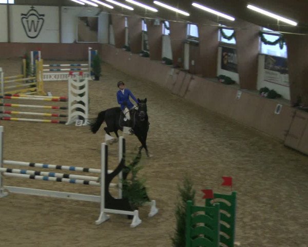 Reitturnier Bad Salzuflen 2019